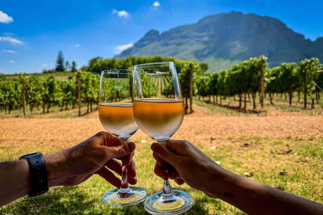 Cape Winelands Tour