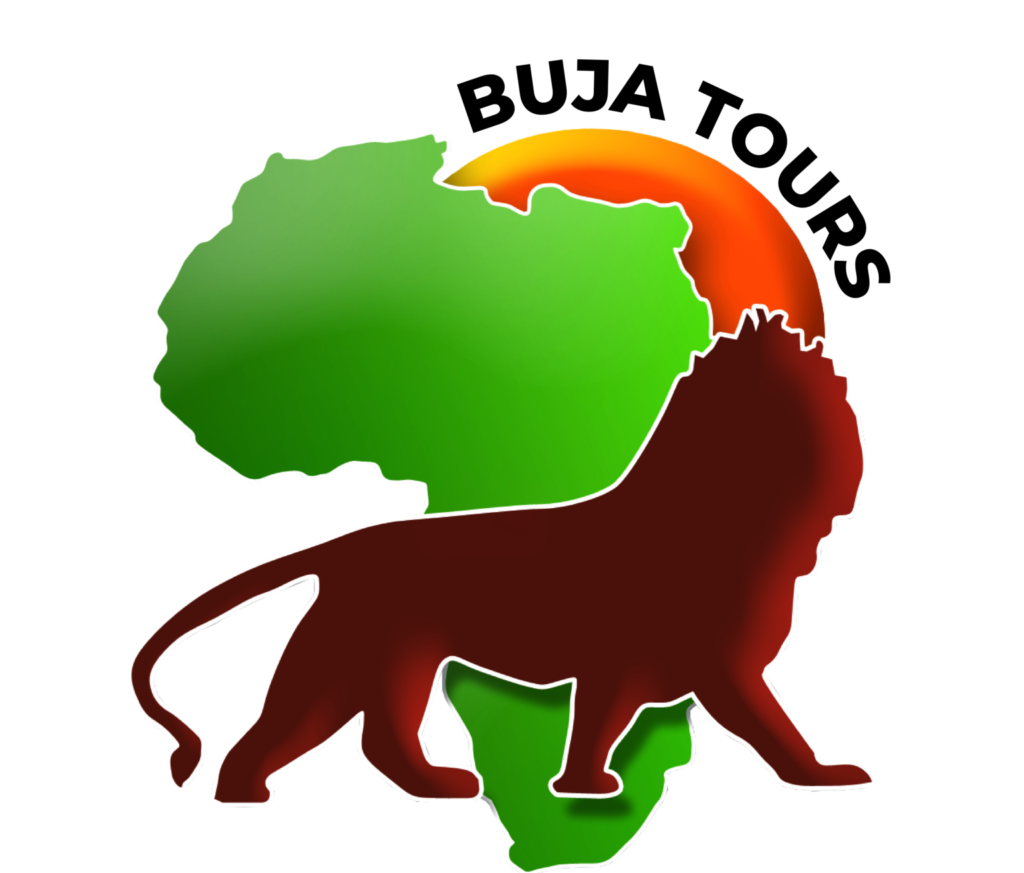 Buja Tours